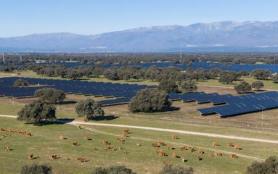 UNEF otorga el Sello de Excelencia en Sostenibilidad a la planta fotovoltaica Talayuela II de Statkraft, en Cáceres